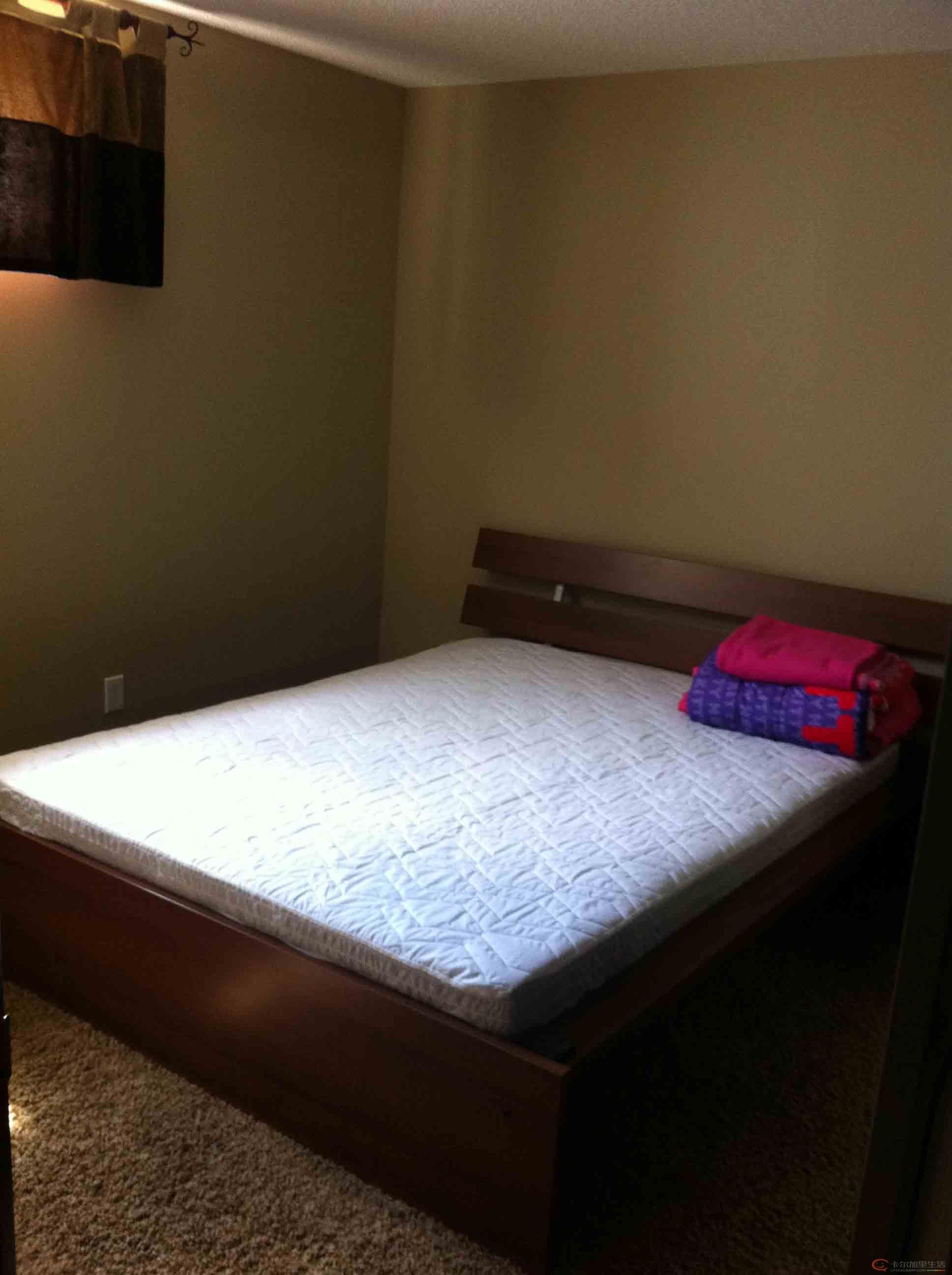 独立屋两房间 地下室套间出租