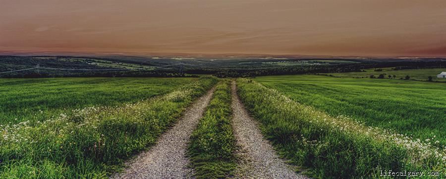 field_HERO-948x383-1.jpg